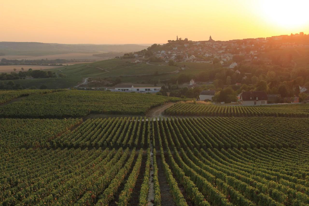 Lodge De La Vigneronne Châtillon-sur-Marne 外观 照片