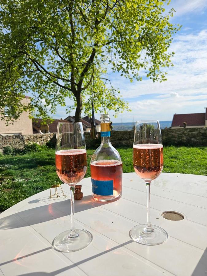 Lodge De La Vigneronne Châtillon-sur-Marne 外观 照片